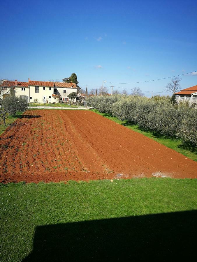 ŽbandajLjubica公寓 外观 照片